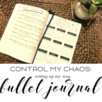 chaos control:  setting up my bullet journal for 2019